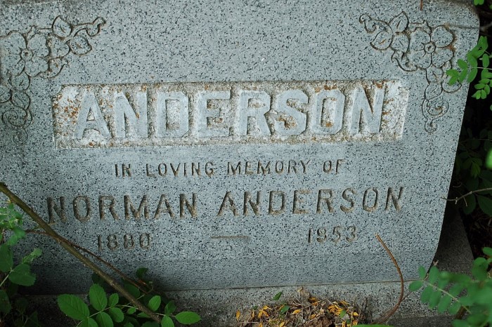 ANDERSON, Norman