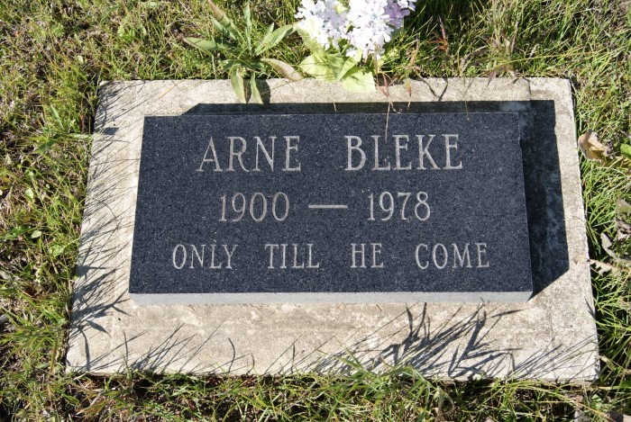BLEKE, Arne