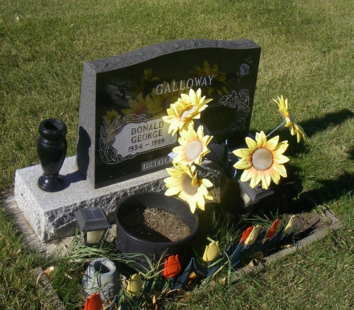GALLOWAY, Donald George