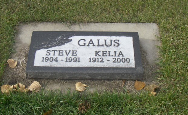 GALUS, Steve