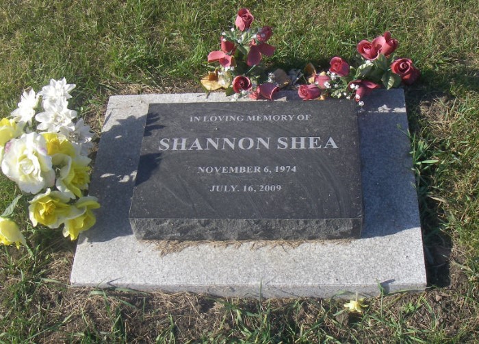 SHEA, Shannon