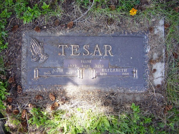 TESAR, John